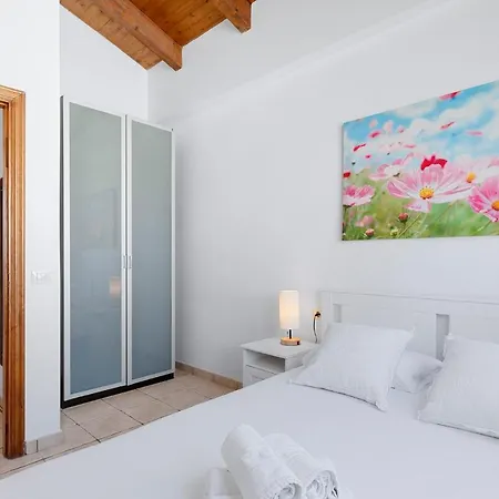 Medano4you The Palm Tree * El Médano